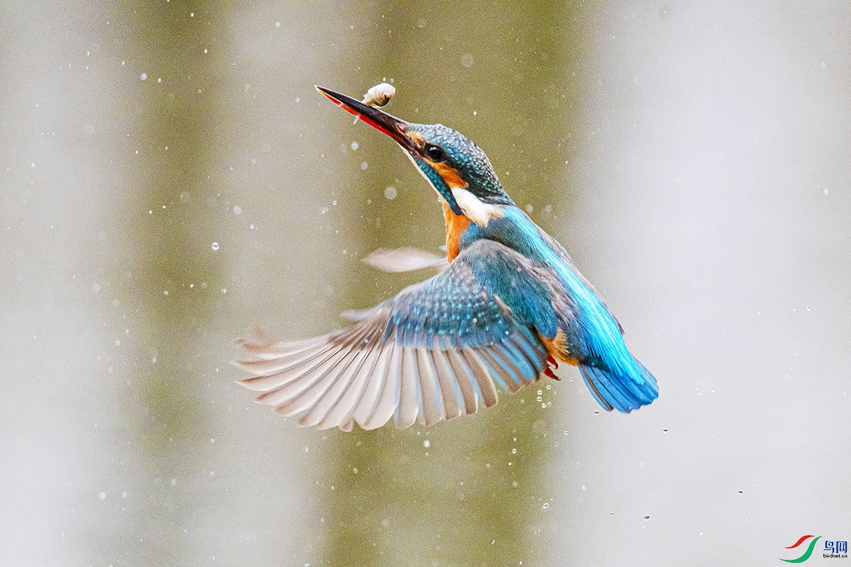 DSC_2359.jpg
