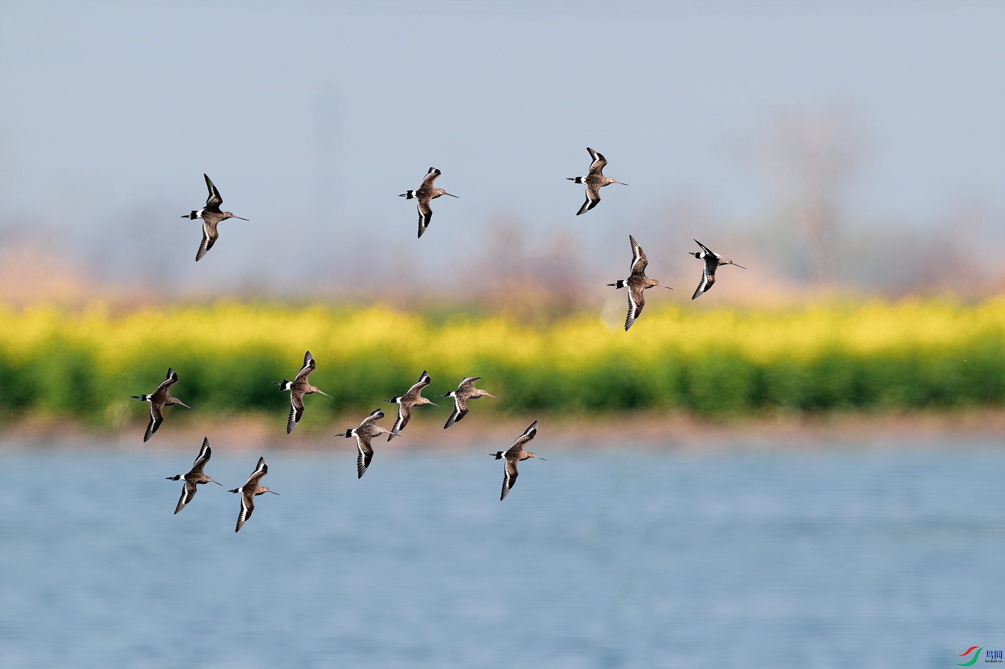 _DSC8133-2 ����С.jpg