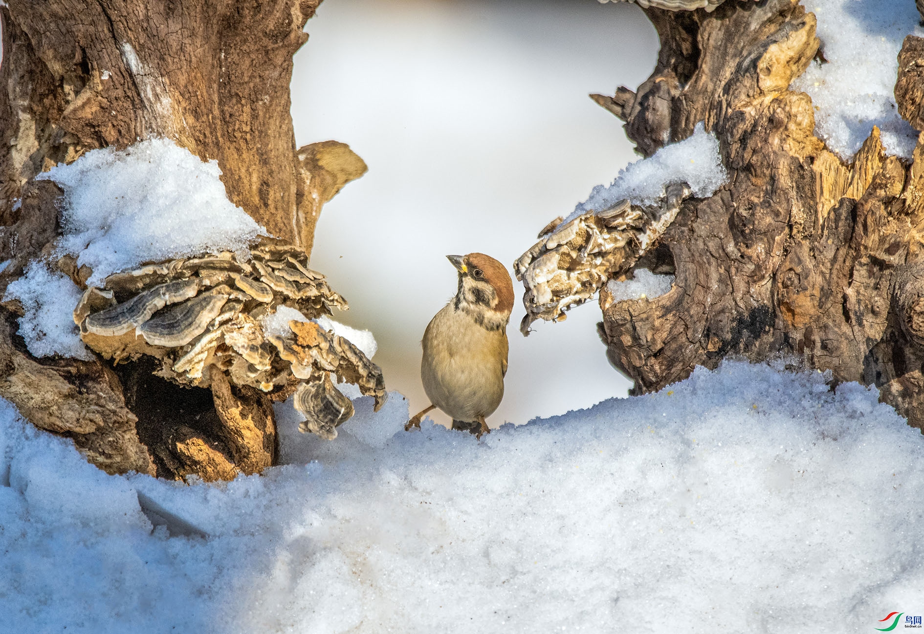 DSC_1251_��ͼ�� ����.jpg