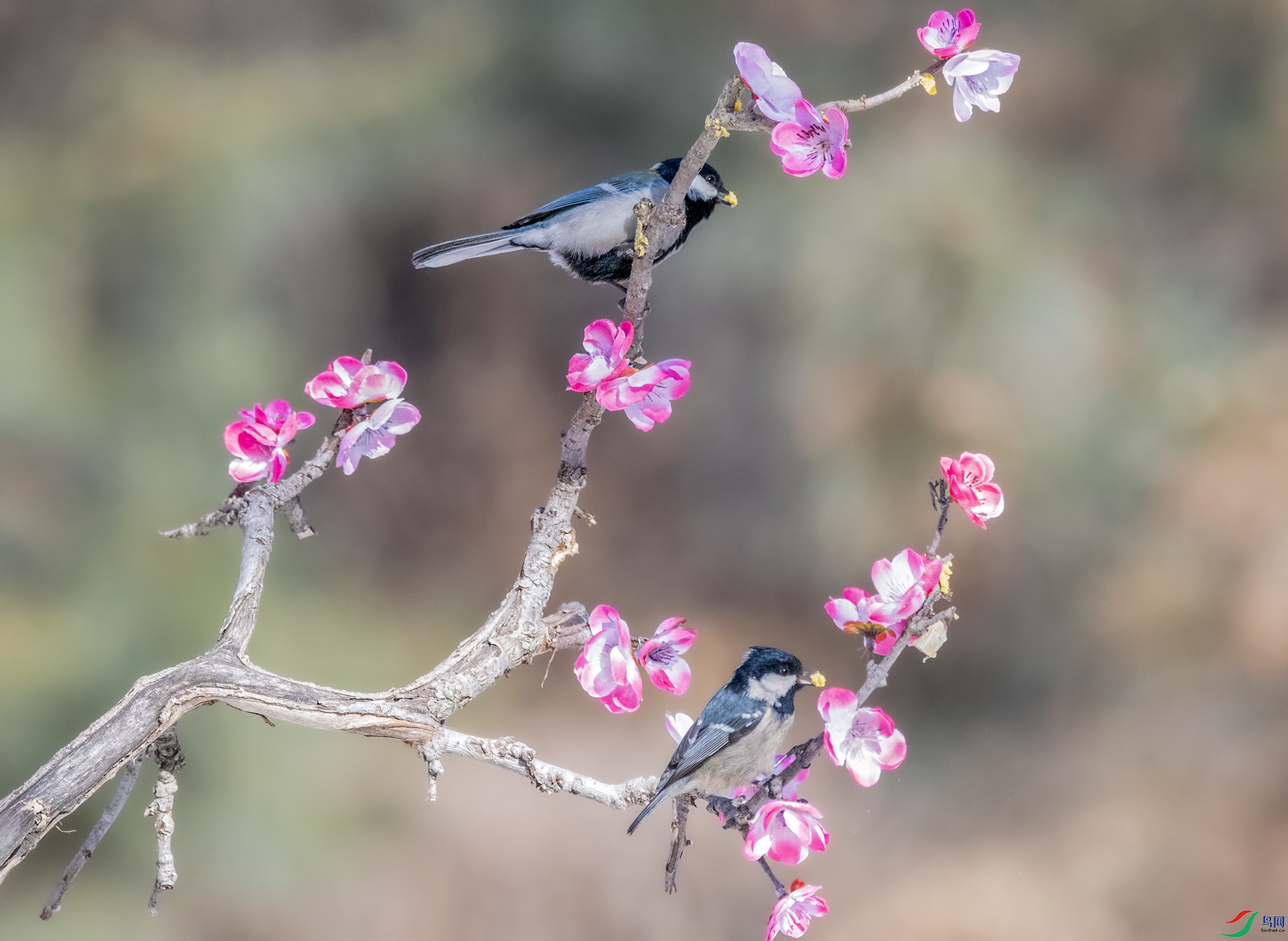 DSC_8658 ���� 2.jpg