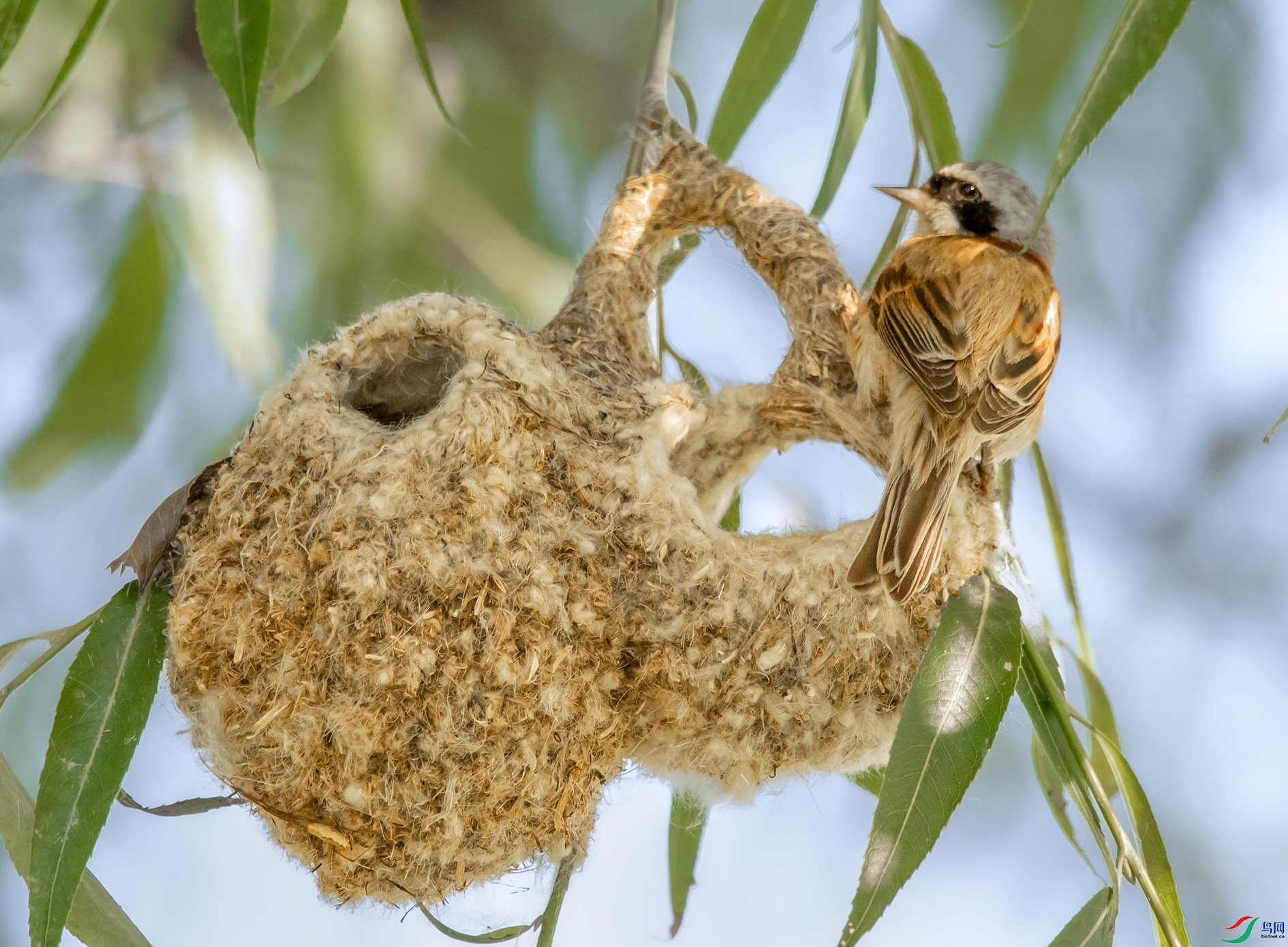 DSC_3314_��ͼ�� ����.jpg