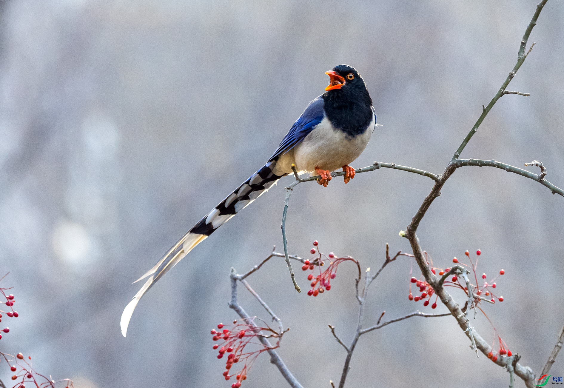 DSC_0391_��ͼ�� ����.jpg