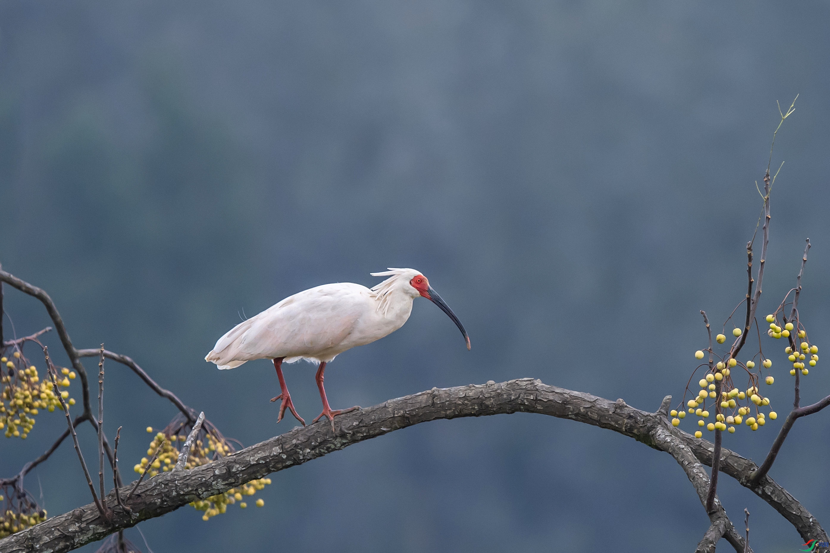 DSC_8055_1.jpg