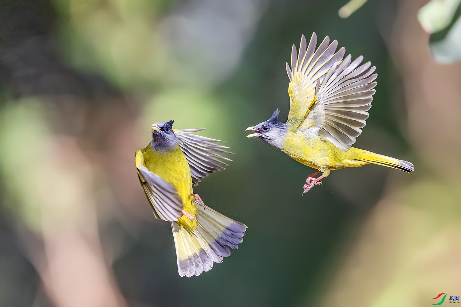 0F7A0568 ����.jpg