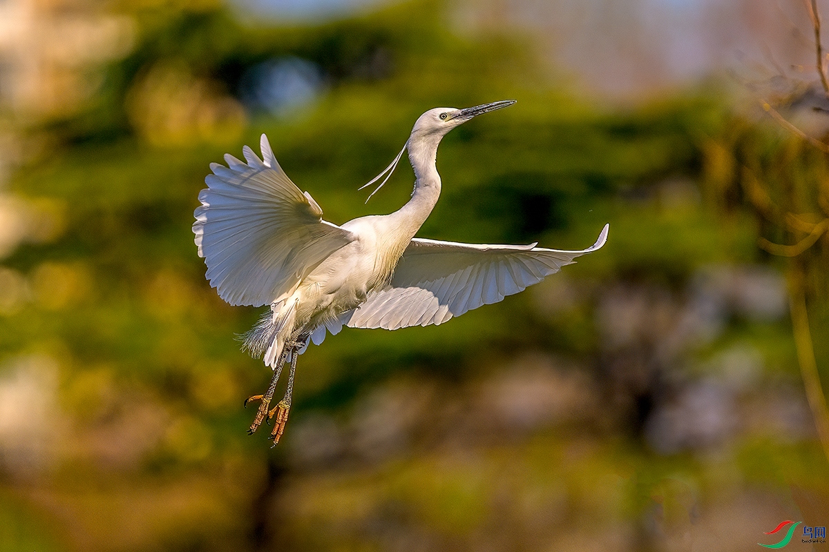 DSC_3808b.jpg