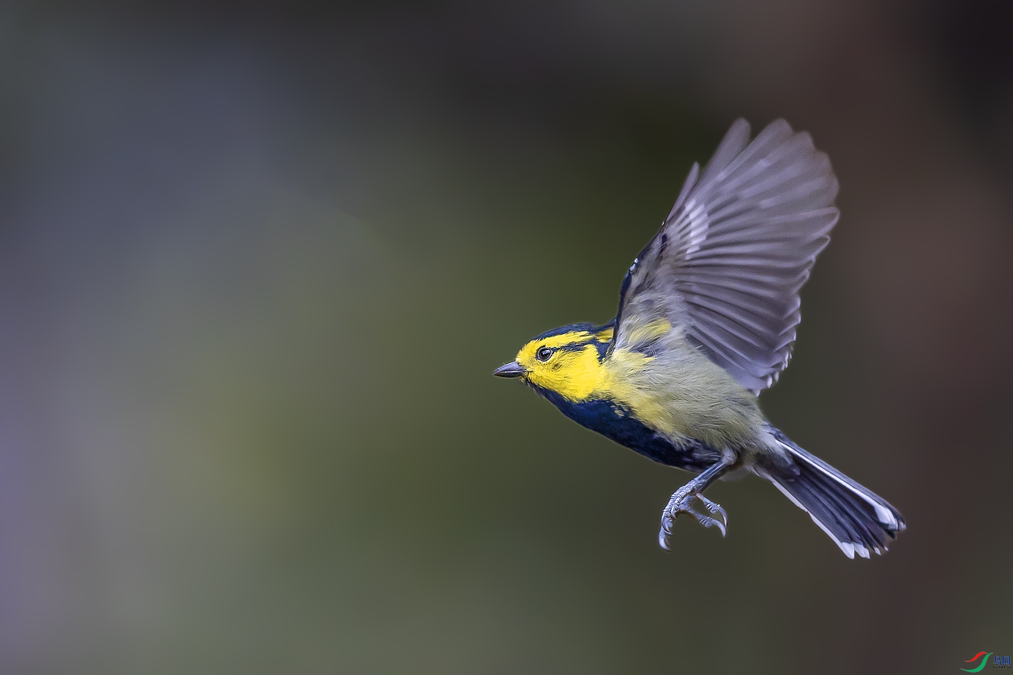 0F7A1730 ����.jpg