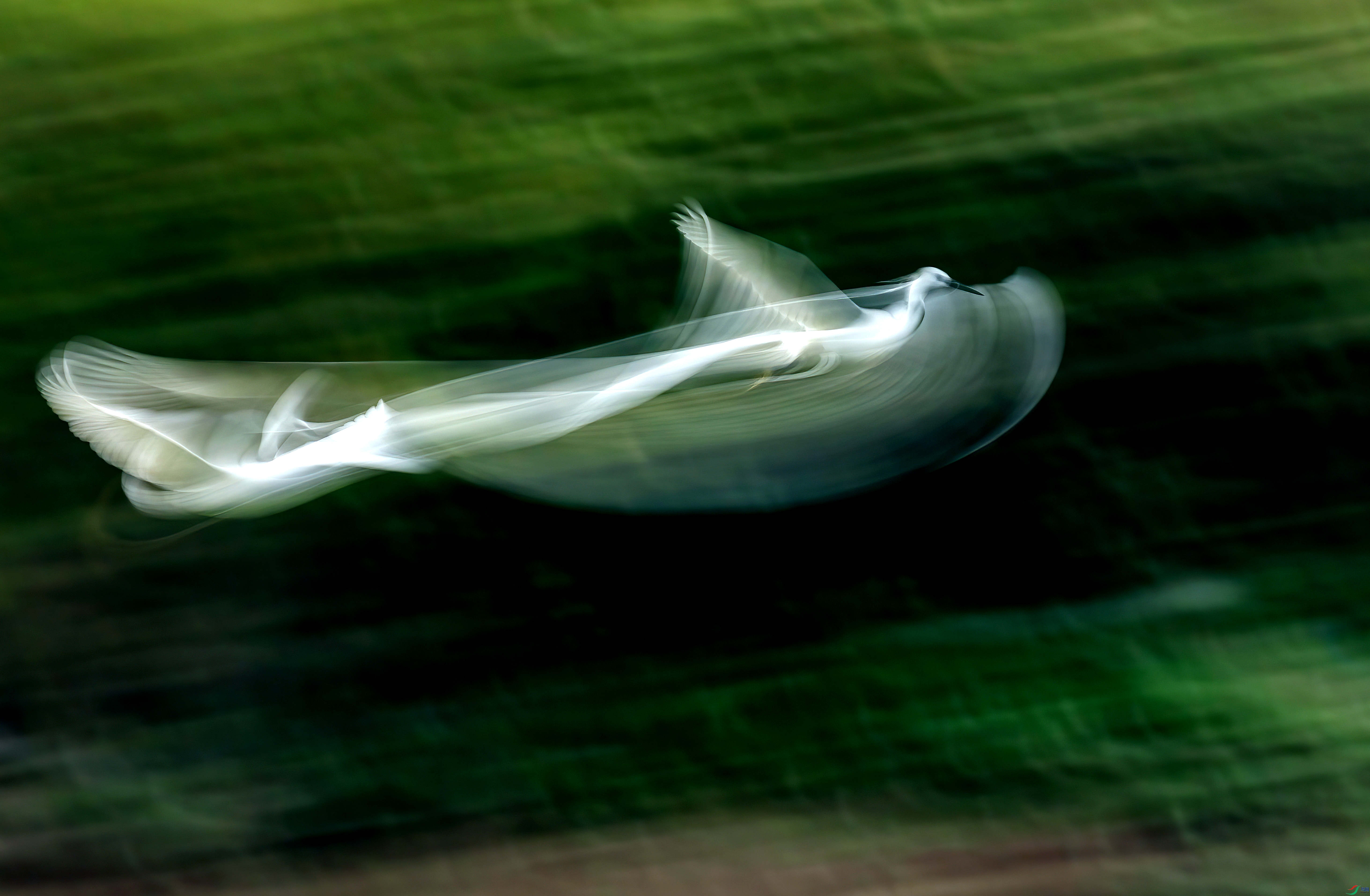 _48A1371.jpg