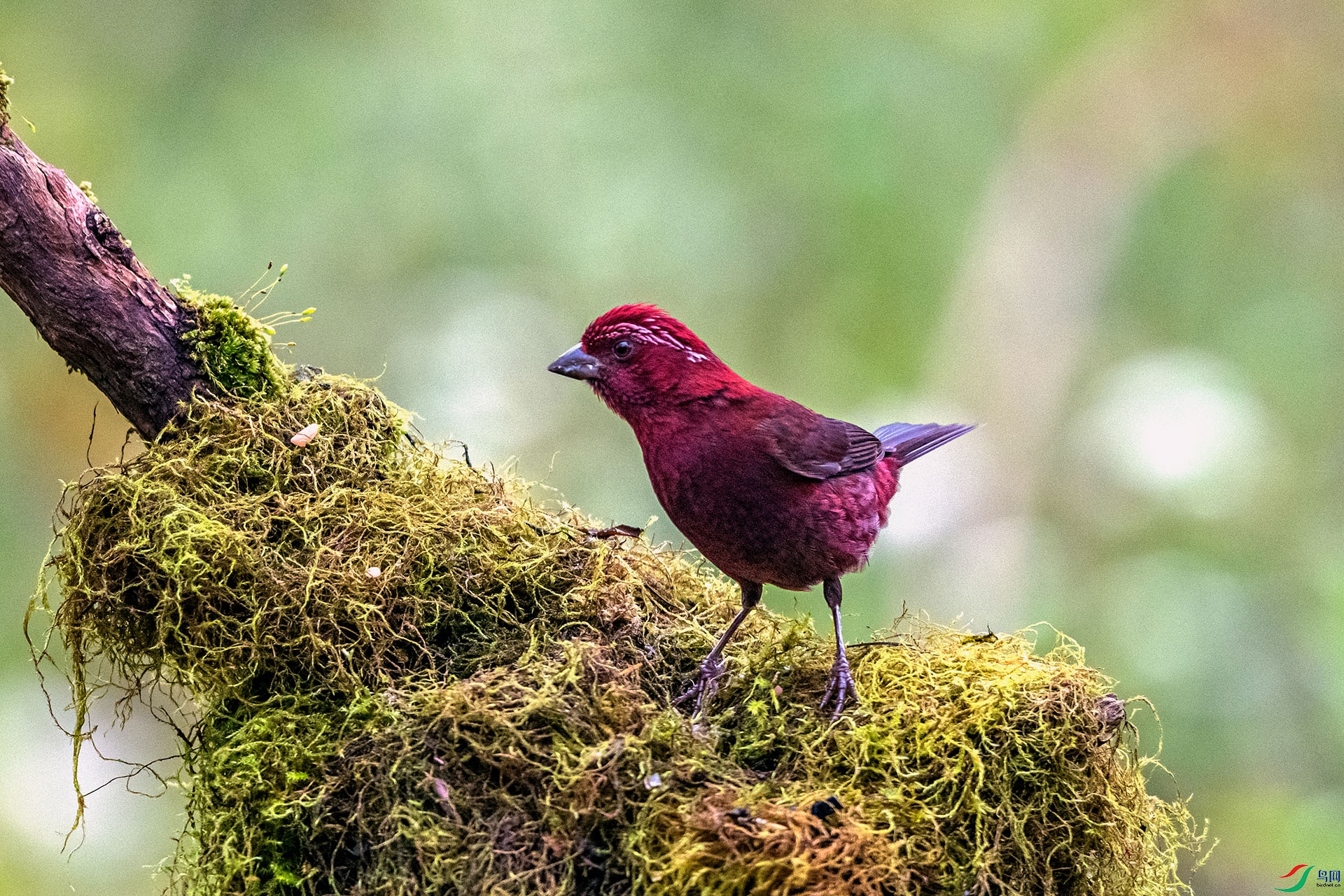 _AUU9256 �ƺ���ȸ(25.8.26).jpg