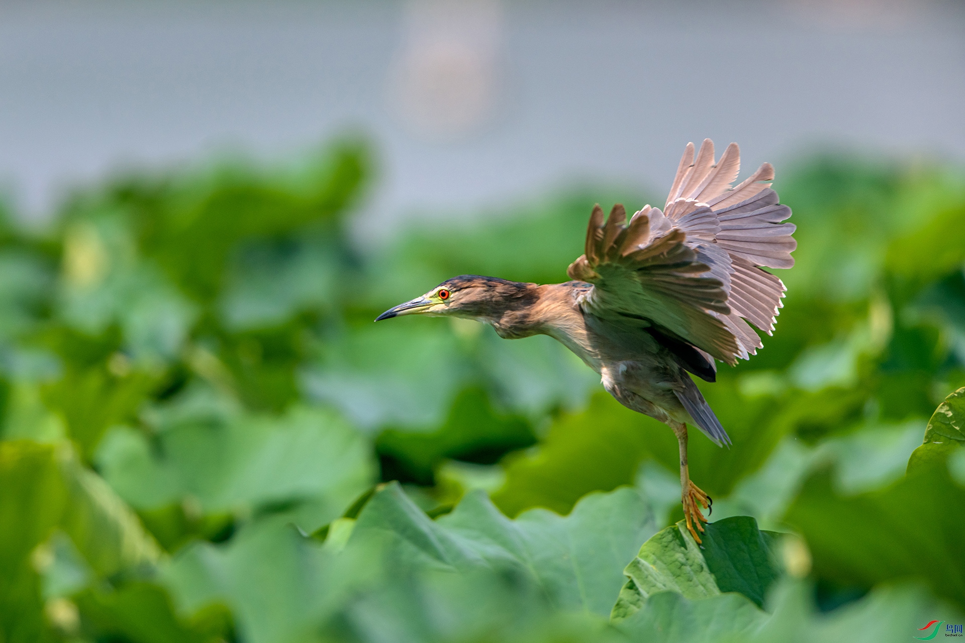 _AUU9934ҹ��(24.8.29).jpg