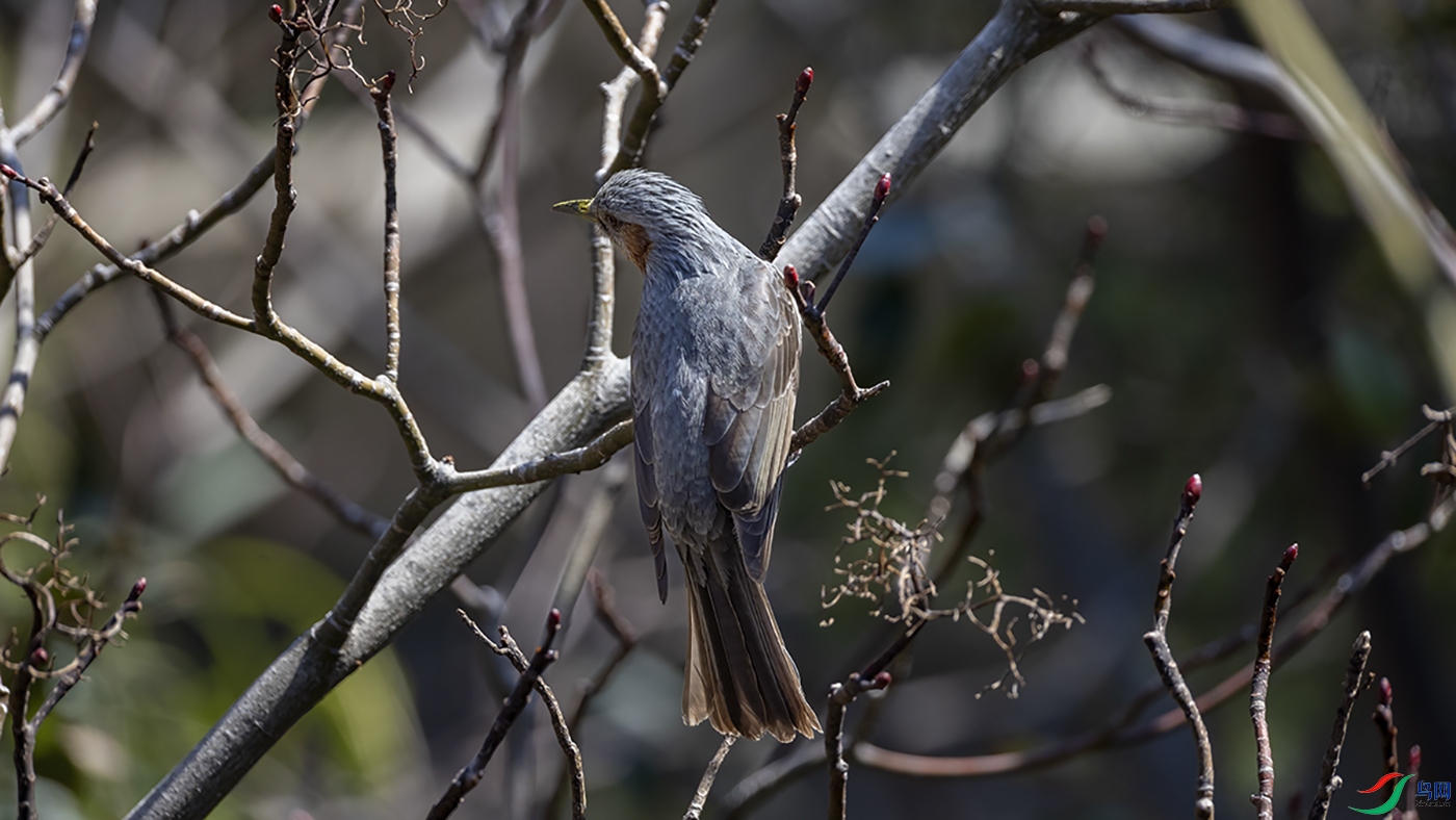 708A2370 ���� 2.jpg