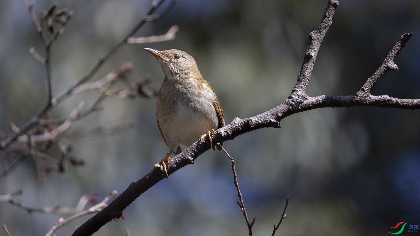 708A2325 ���� 2.jpg