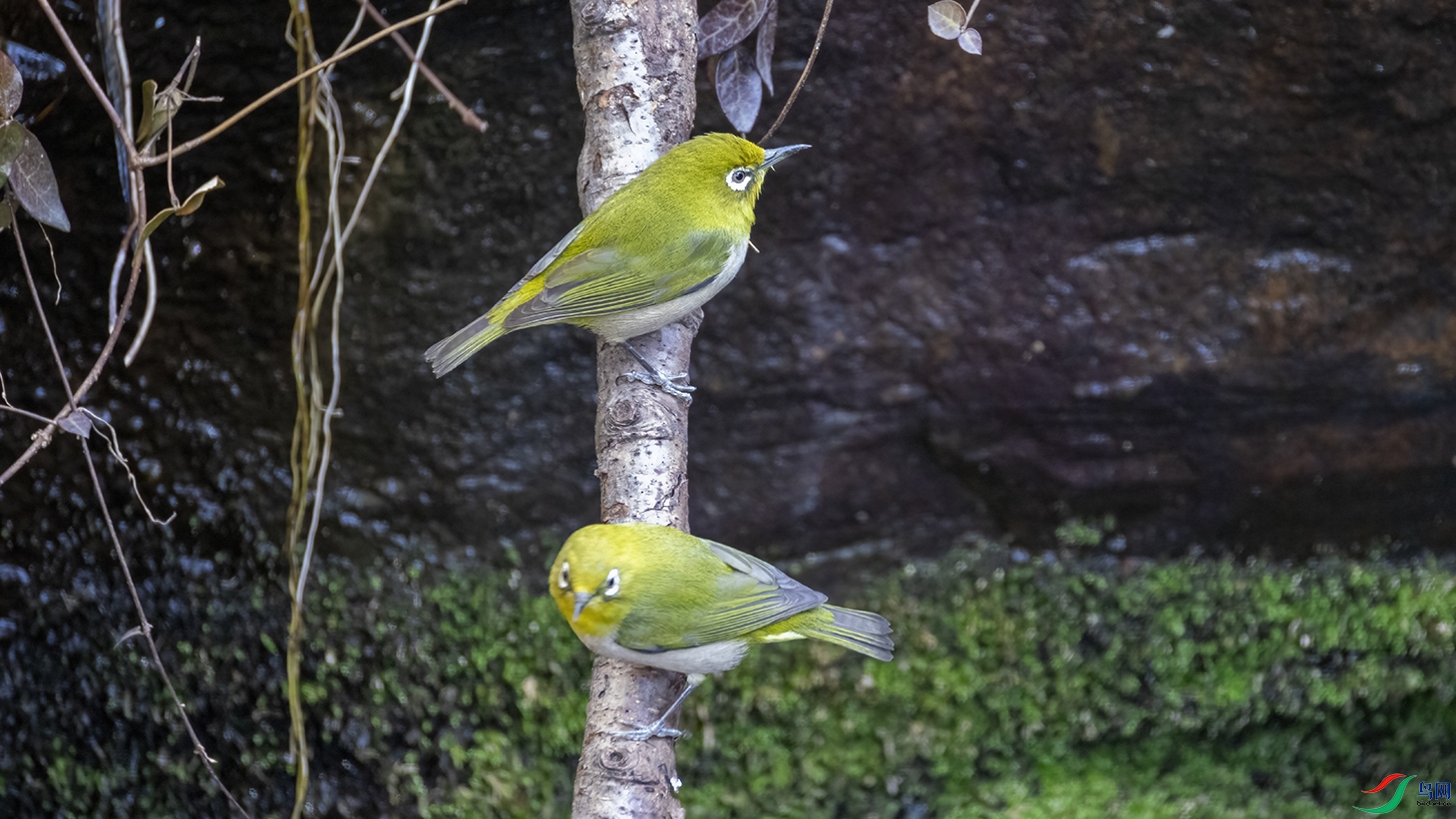 708A2128 ���� 2.jpg