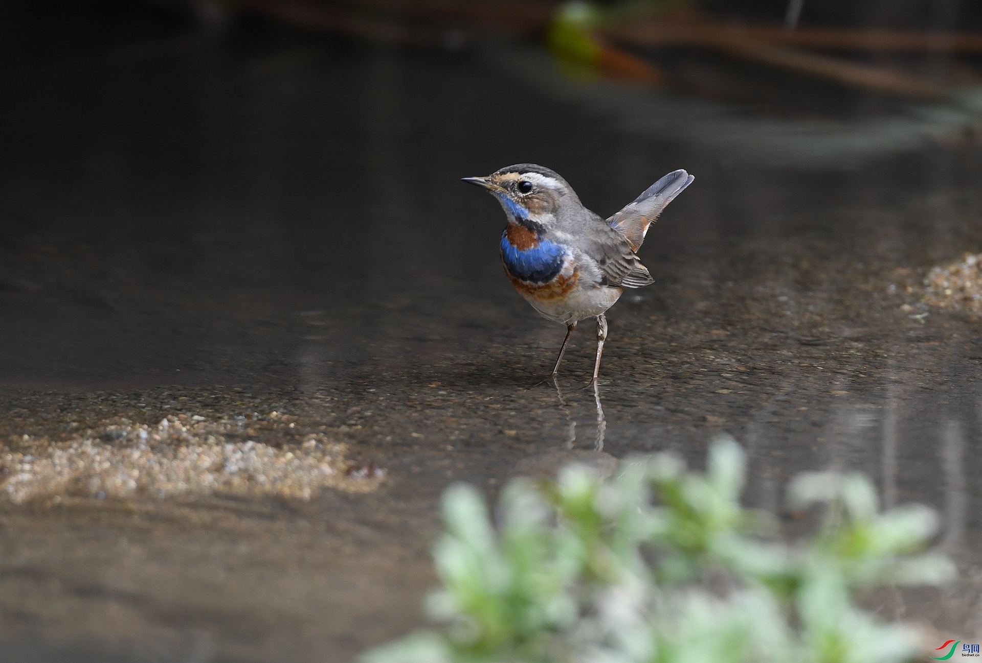 DSC_3416.jpg