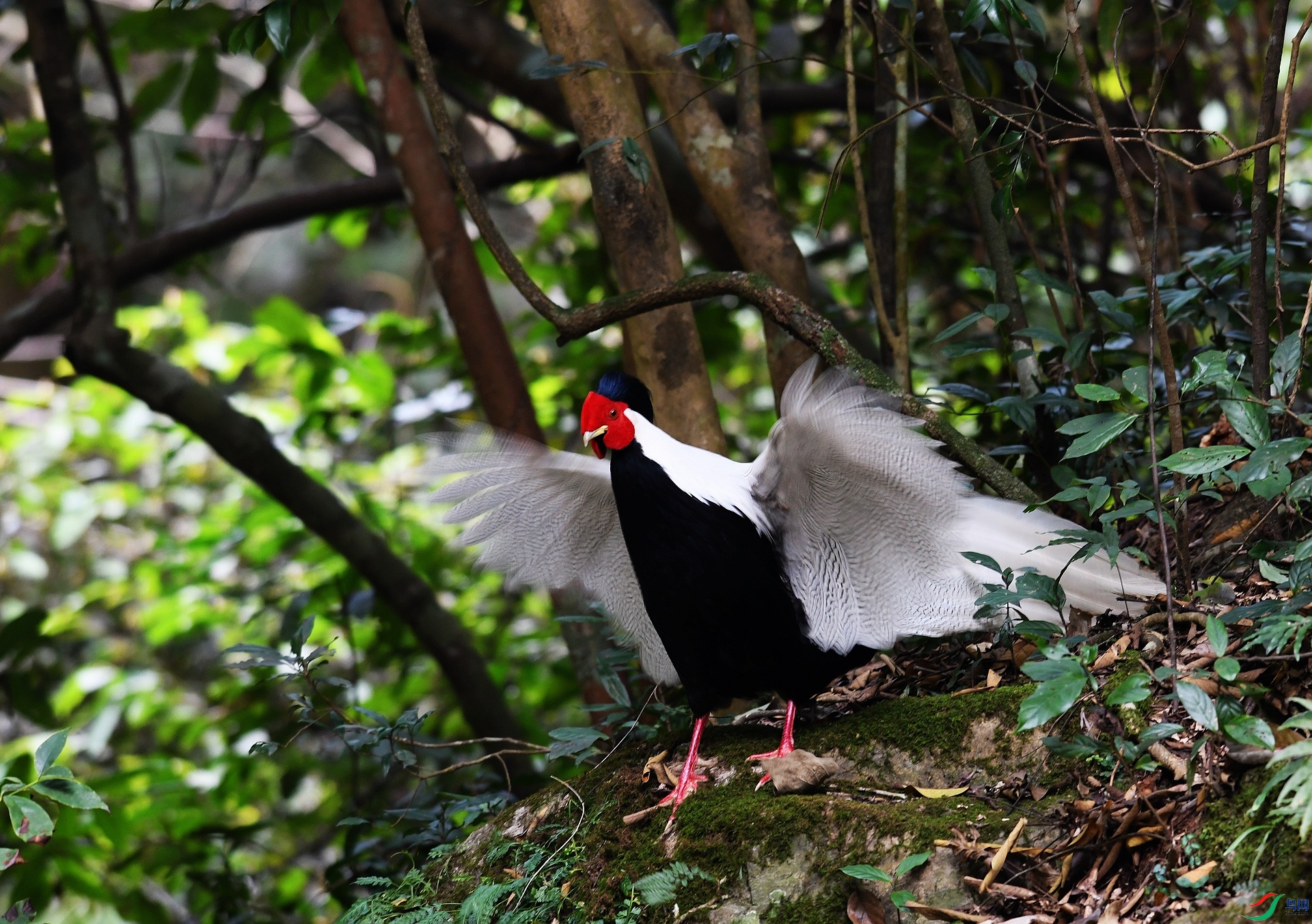 DSC_6364.jpg