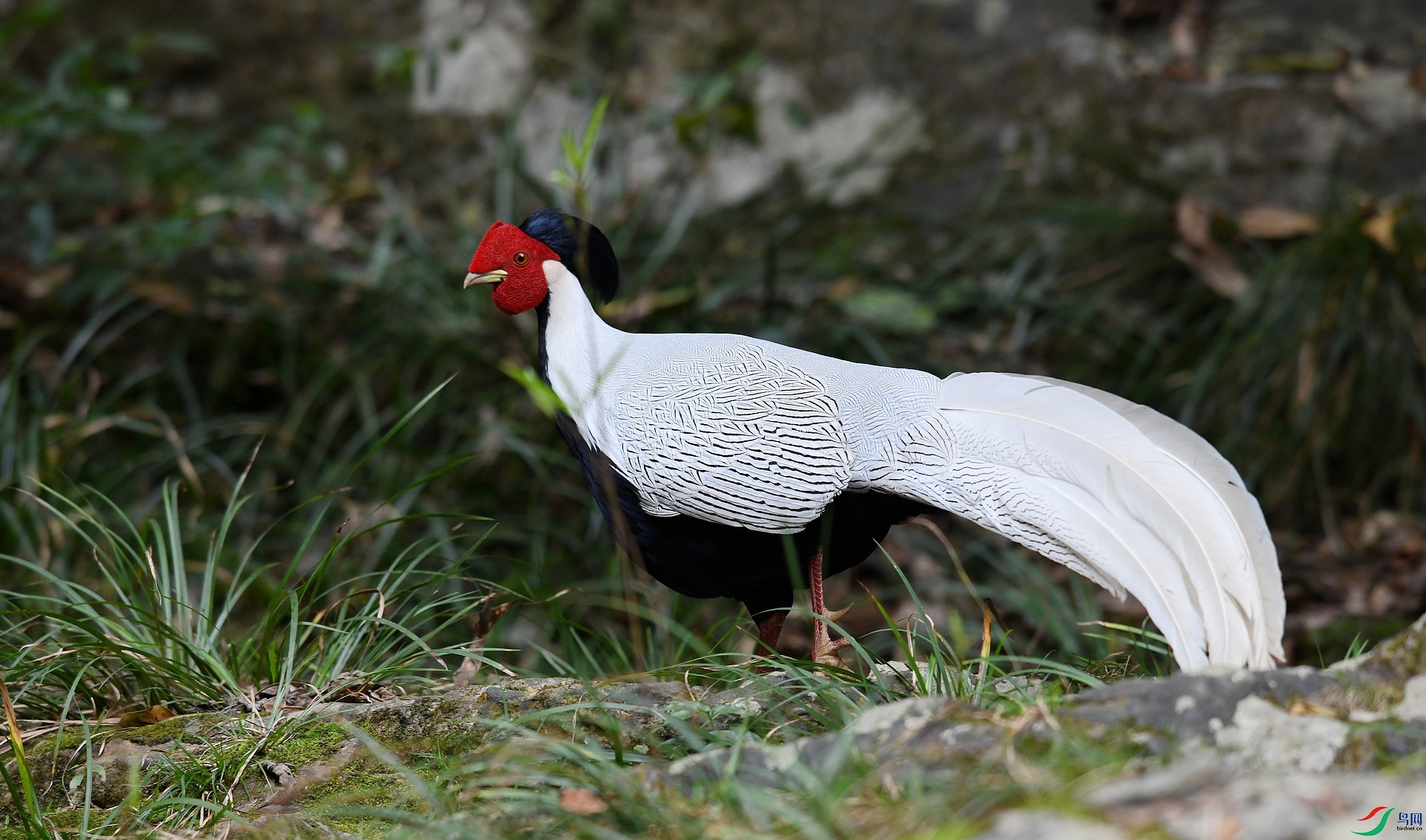 DSC_6340.jpg