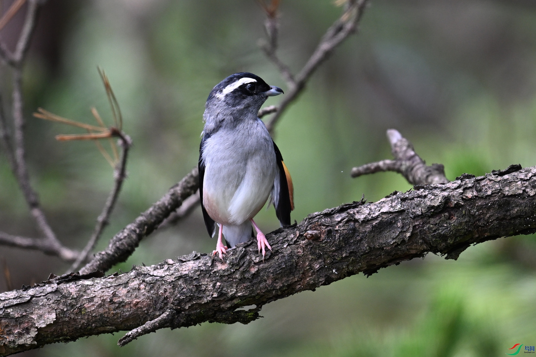 DSC_1359.JPG