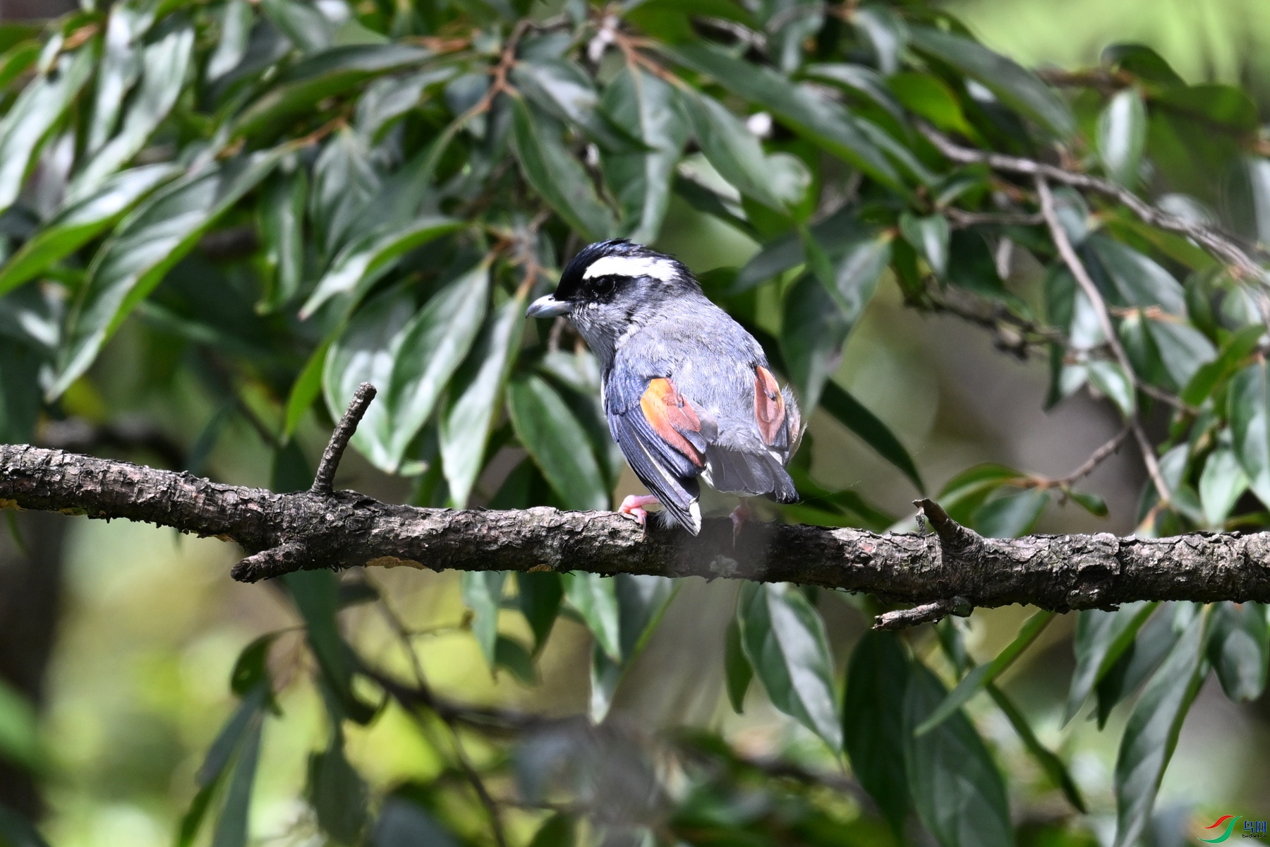DSC_1403.JPG