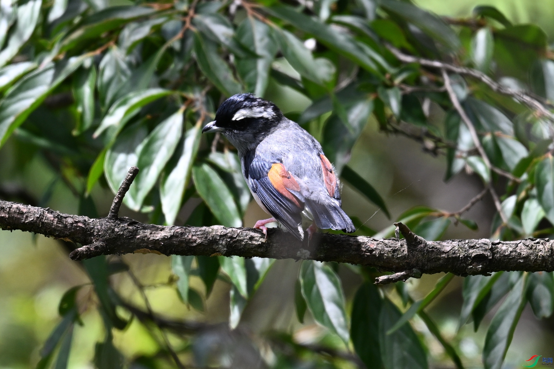 DSC_1407.JPG