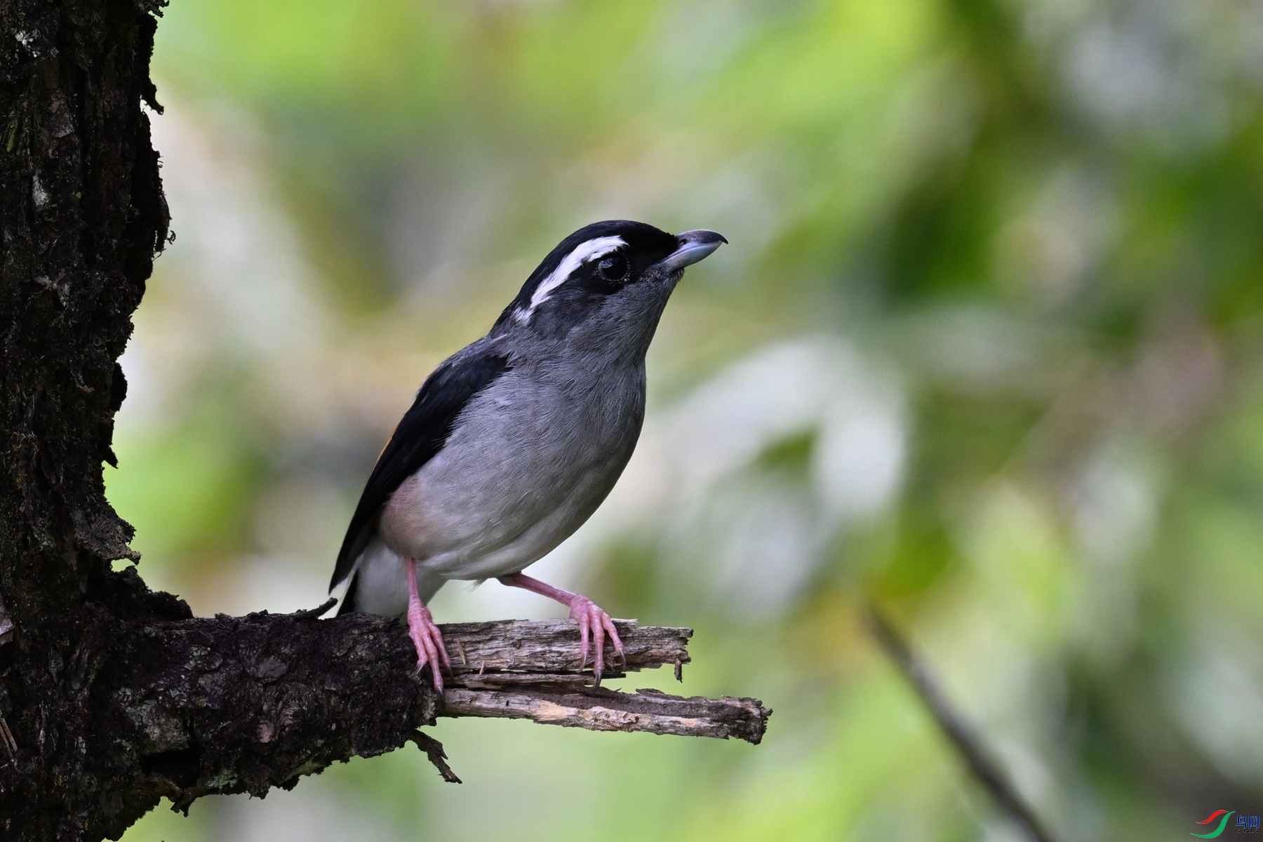 DSC_1422.JPG