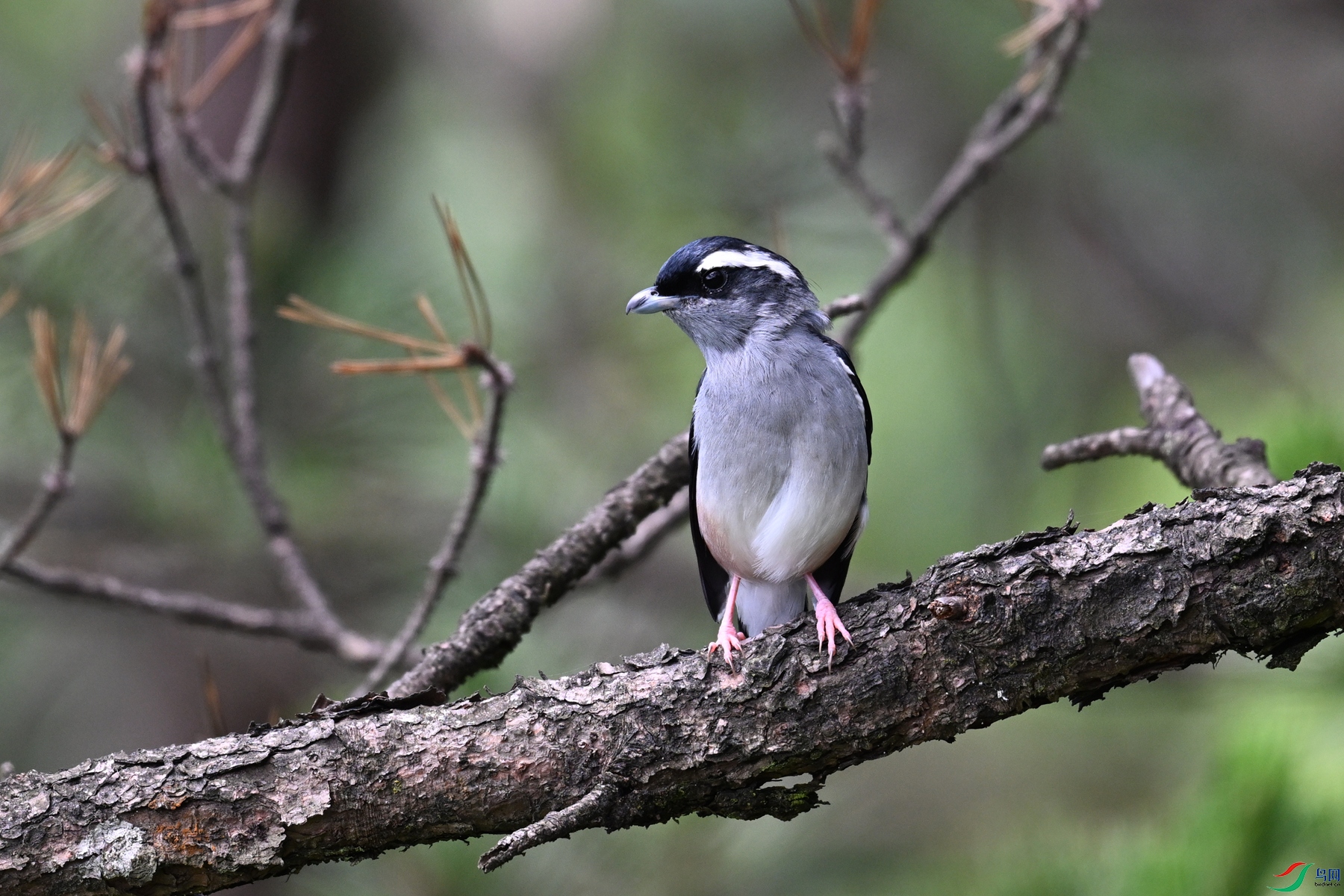 DSC_1369.JPG