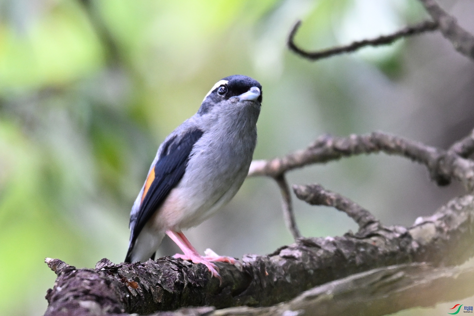 DSC_1413.JPG