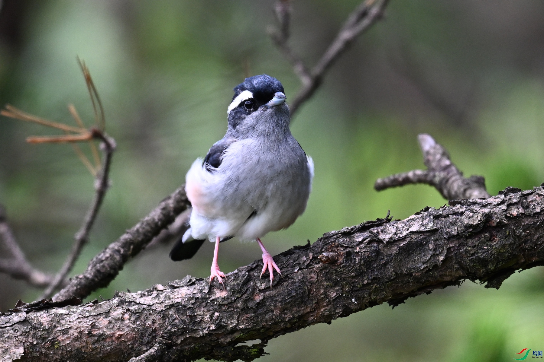 DSC_1377.JPG