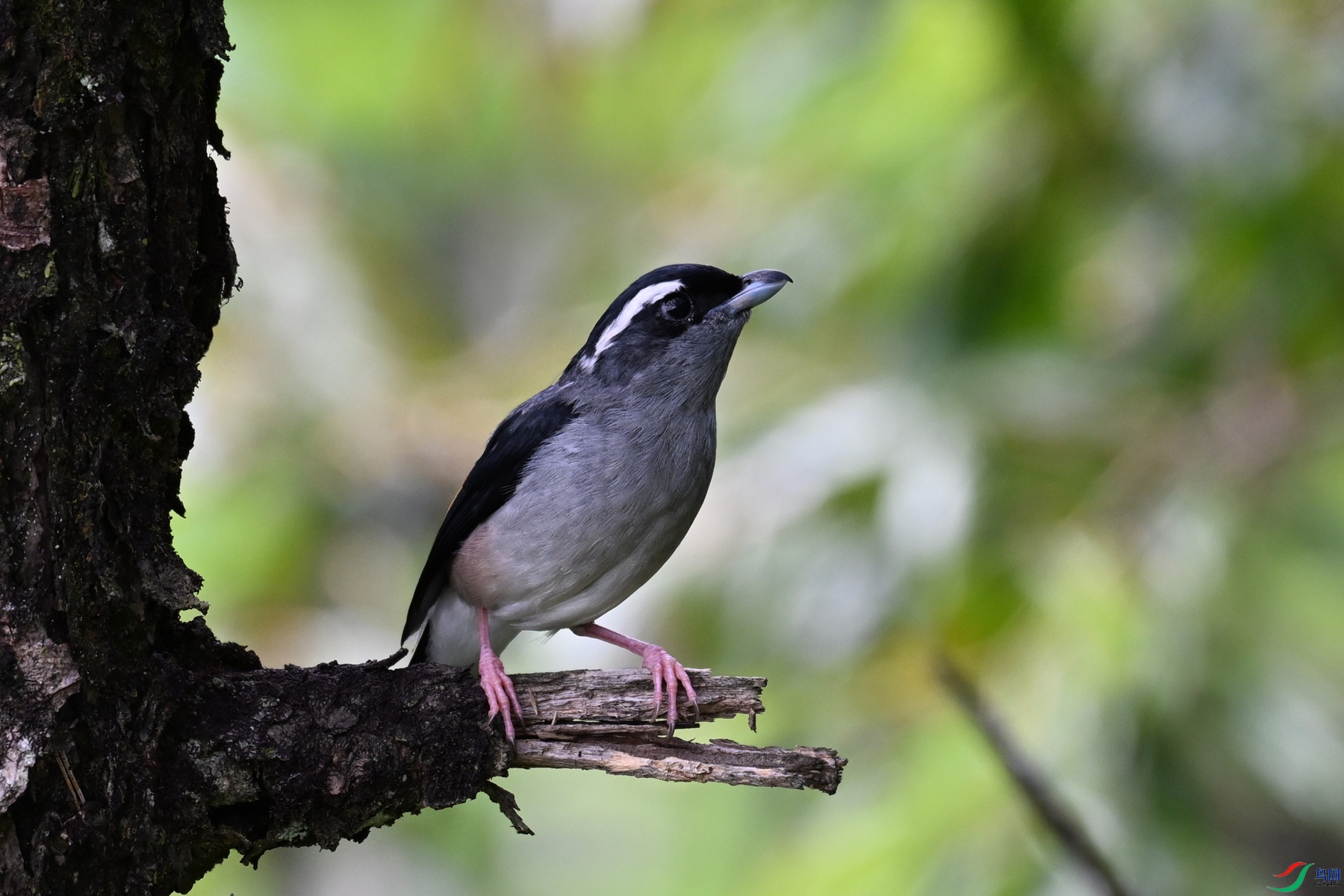 DSC_1421.JPG