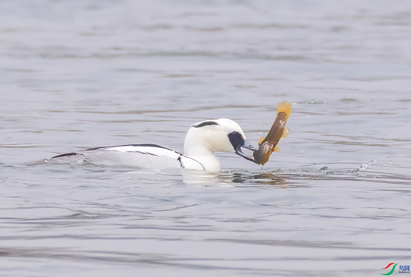 5N9A0306 ���� 2.jpg