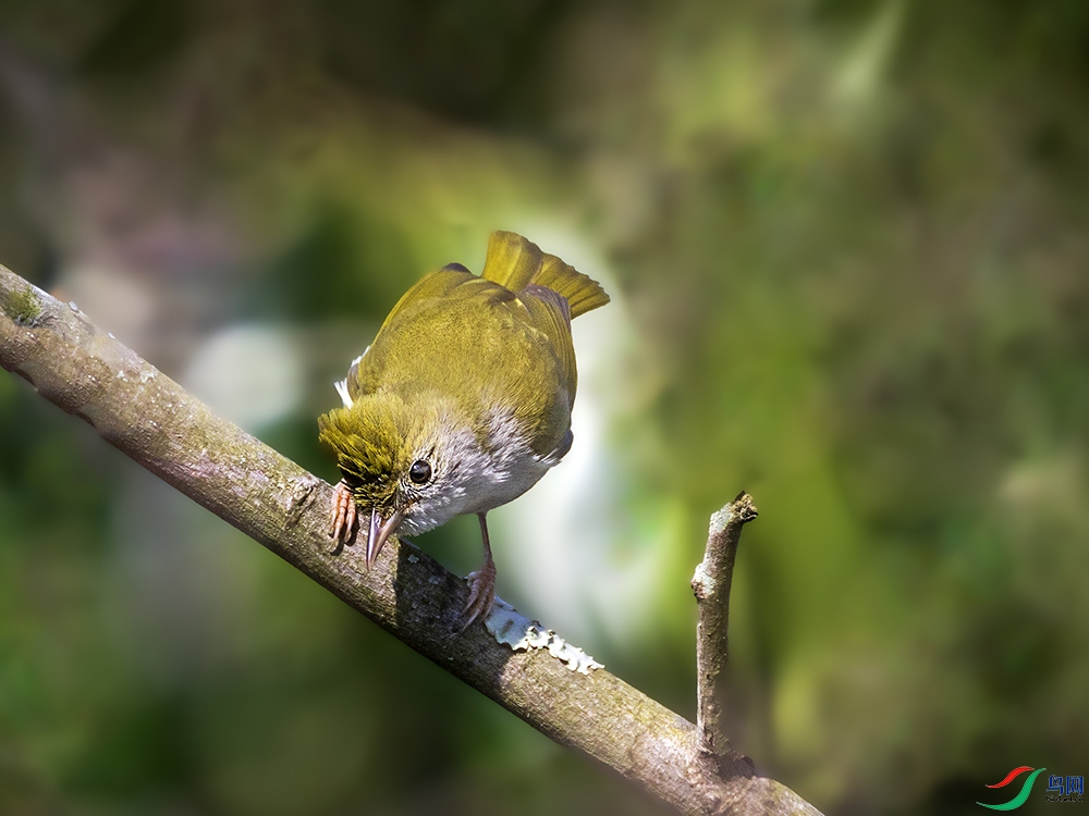 _B3A2992�׸�����-���� ����.jpg