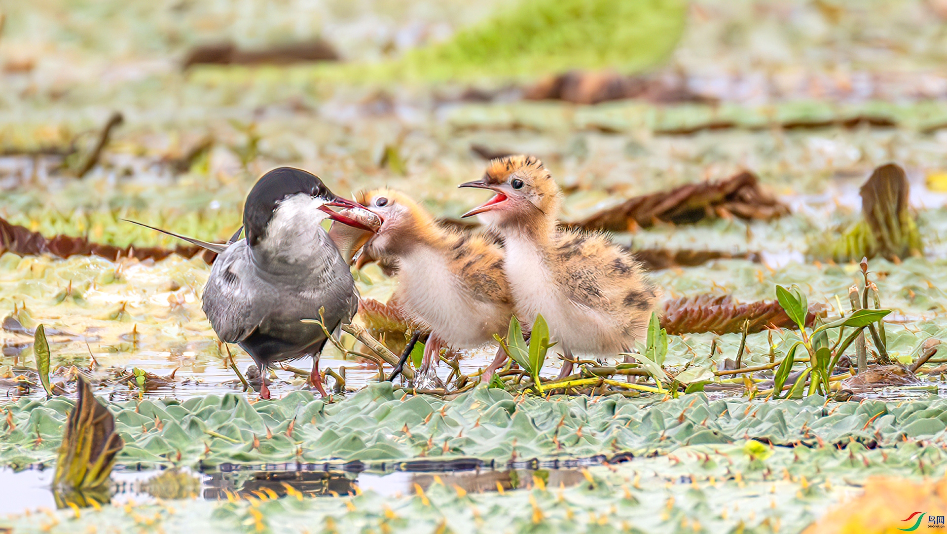 407A5929-----33  .jpg