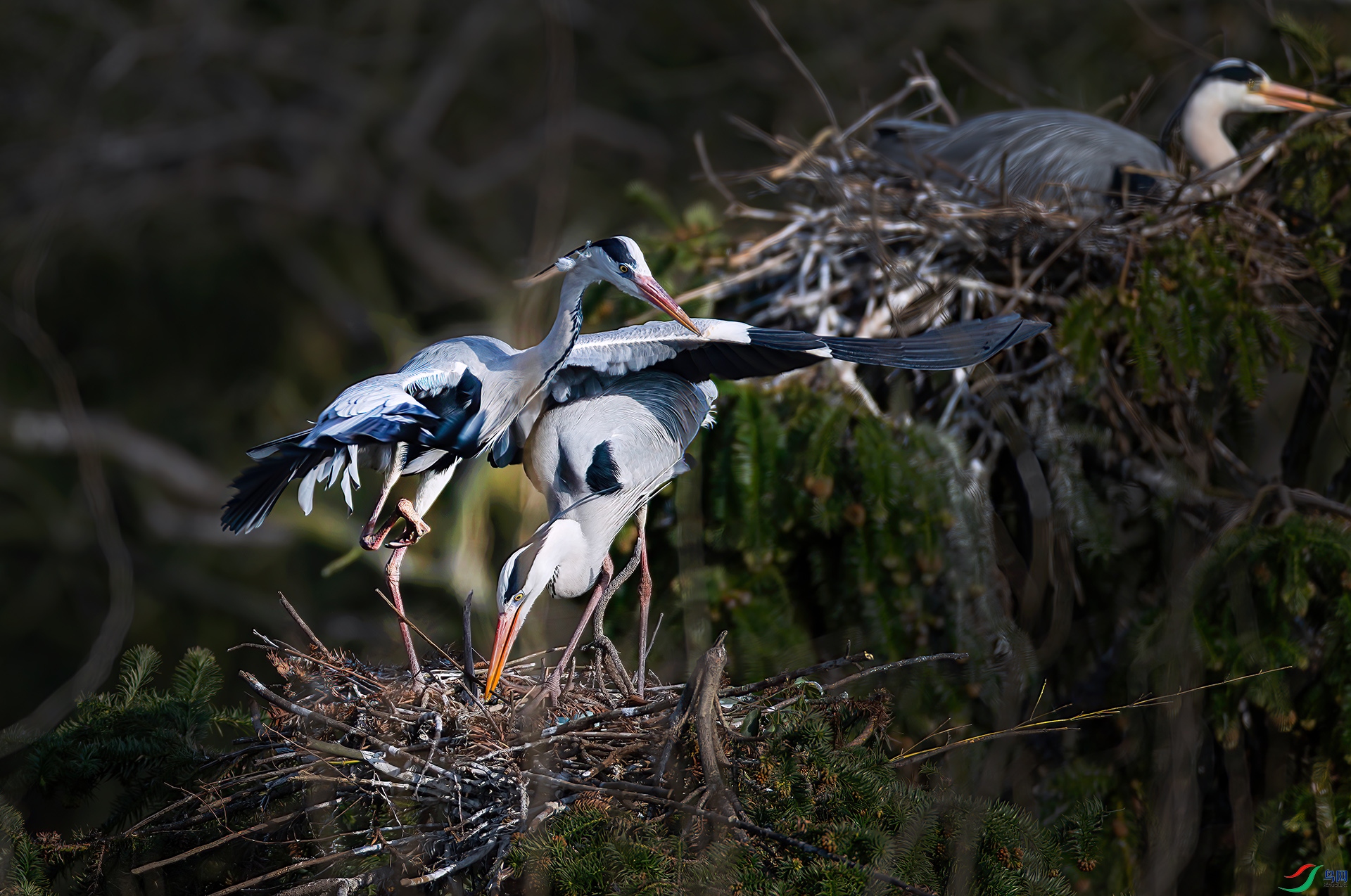 _S7I0608-----33  .jpg