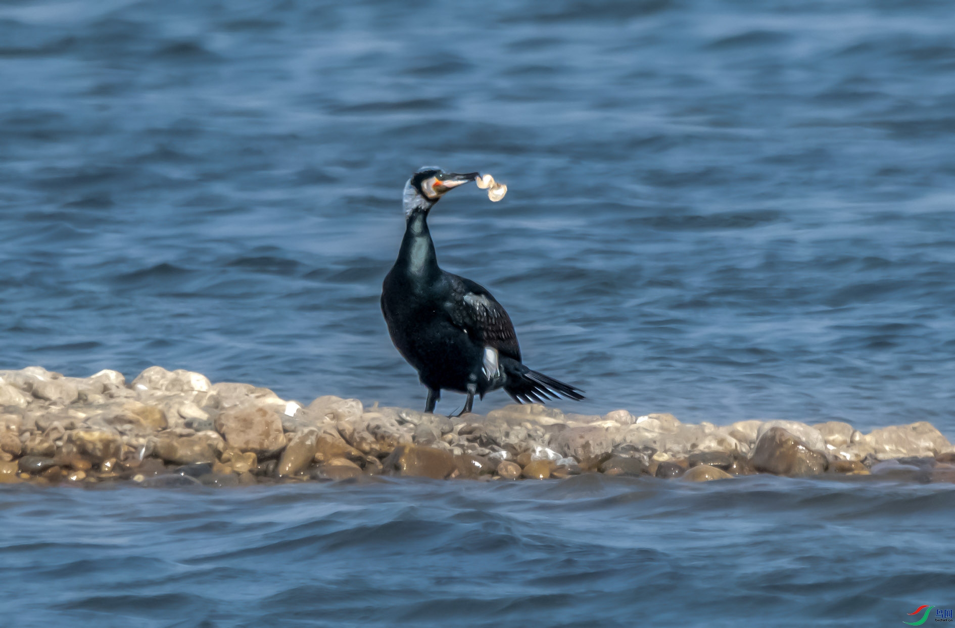 DSC_9268_��ͼ�� ����.jpg