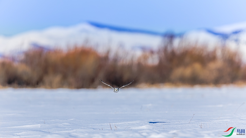 nmghleR3250228 (2006)_DxO.jpg