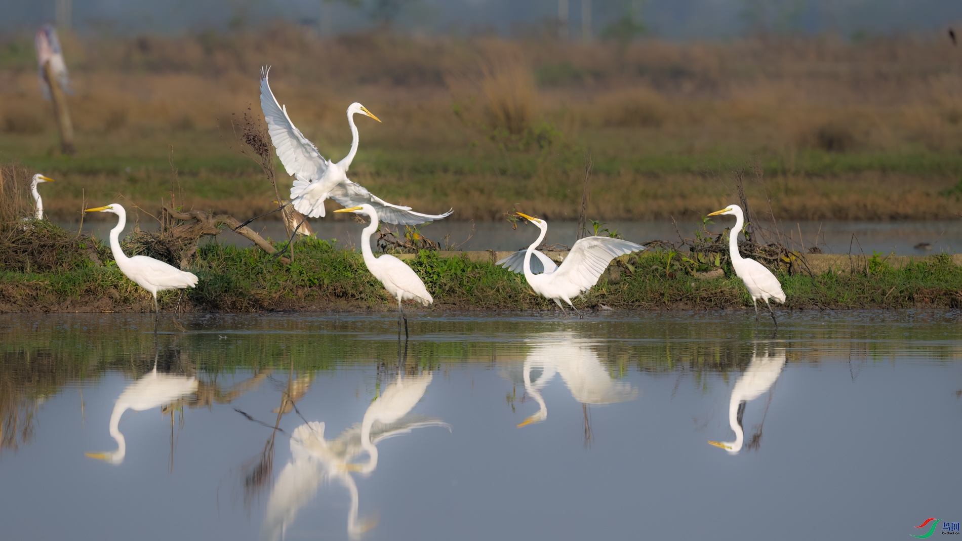 DSC_8840sen2026-2-22-02-�༭.jpg