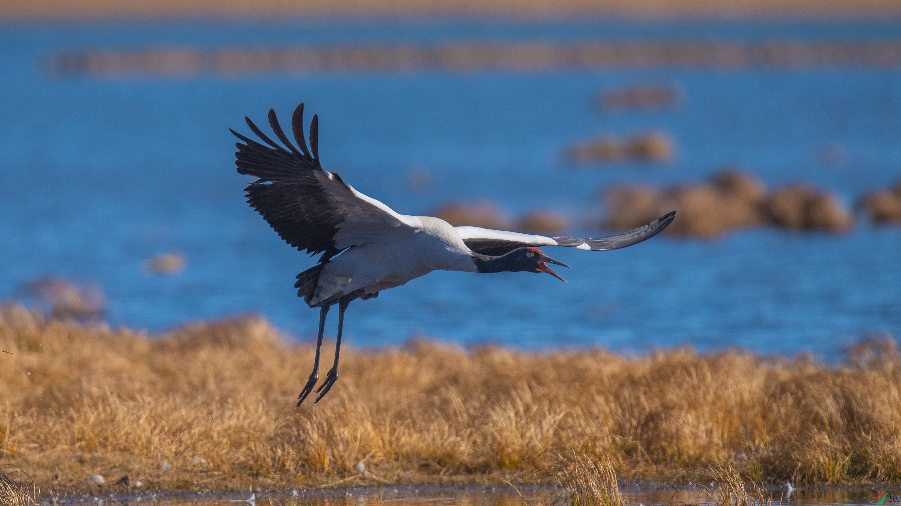 �ھ��� (6).jpg