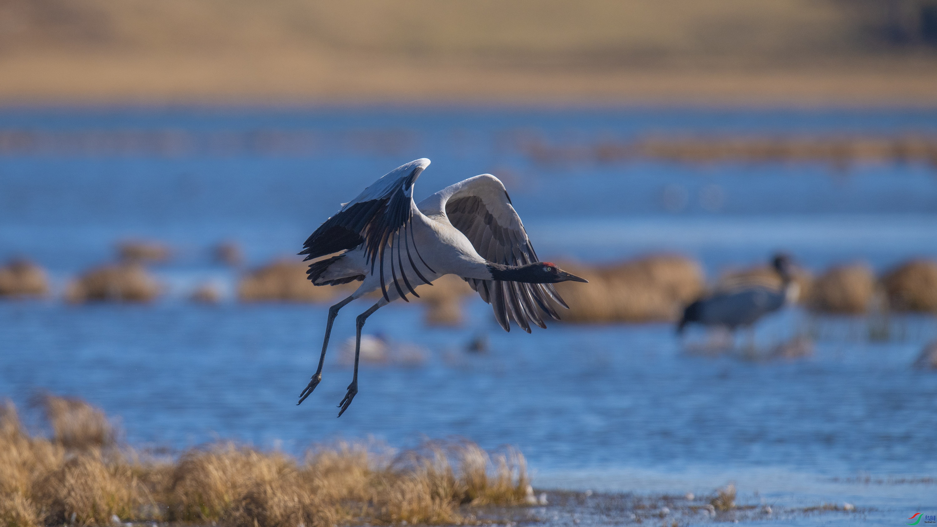 �ھ��� (13).jpg