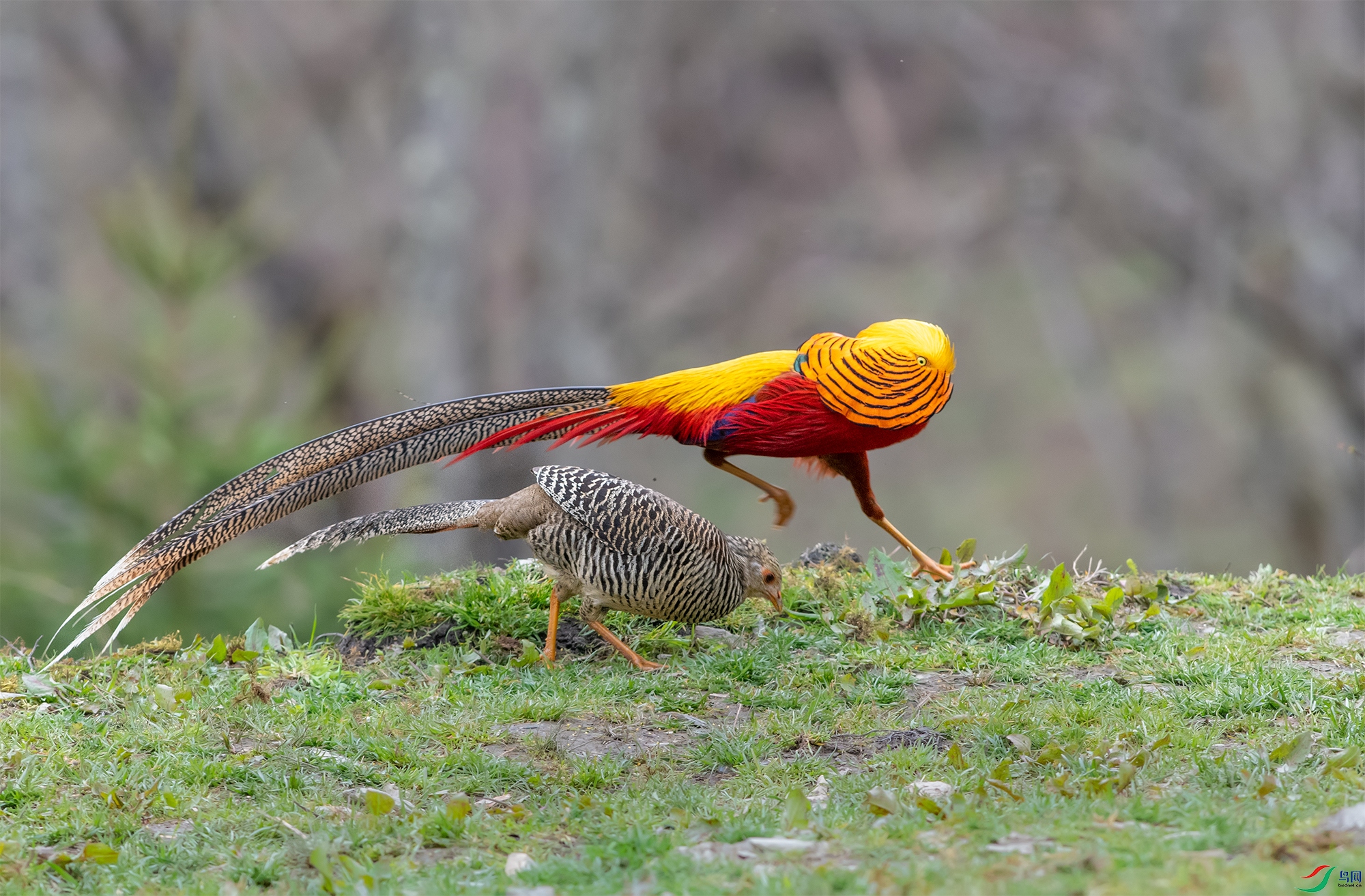 DSC_71341.jpg
