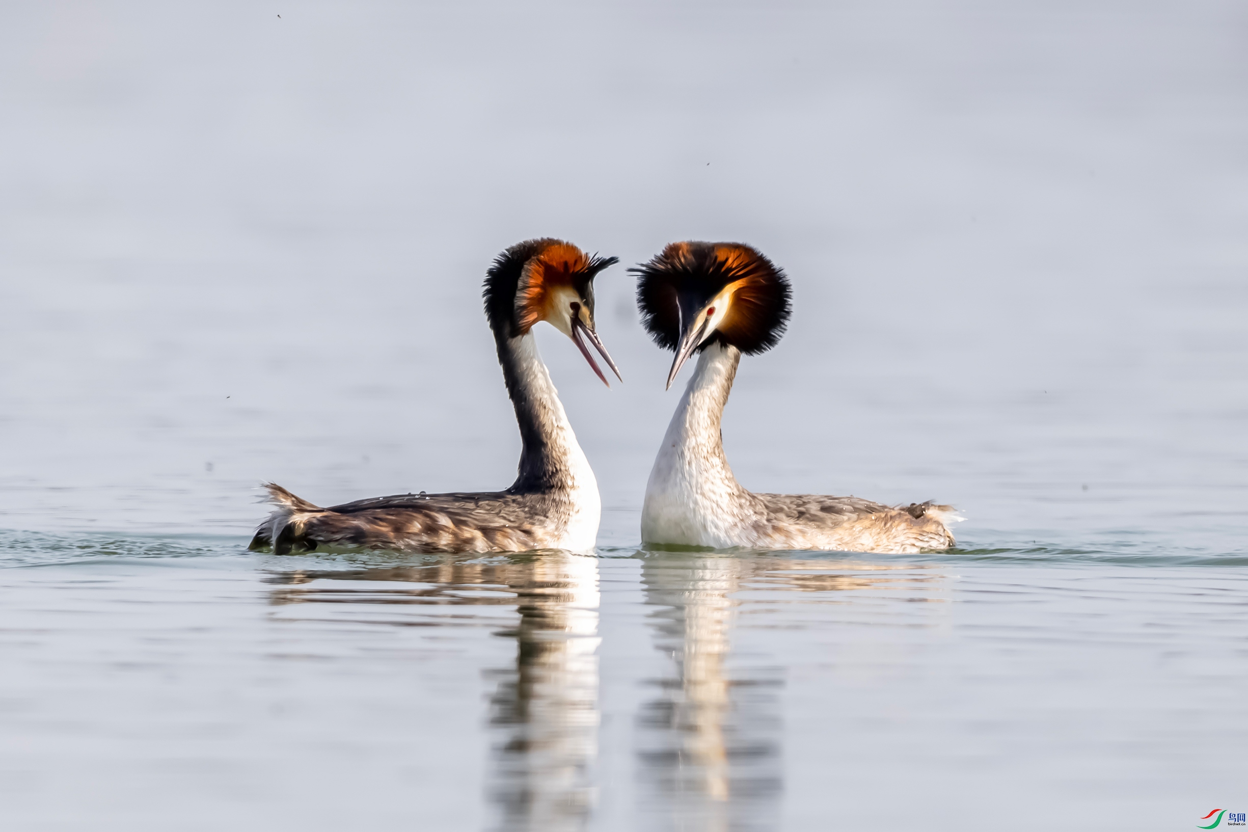 IMG_3171 ����.jpg