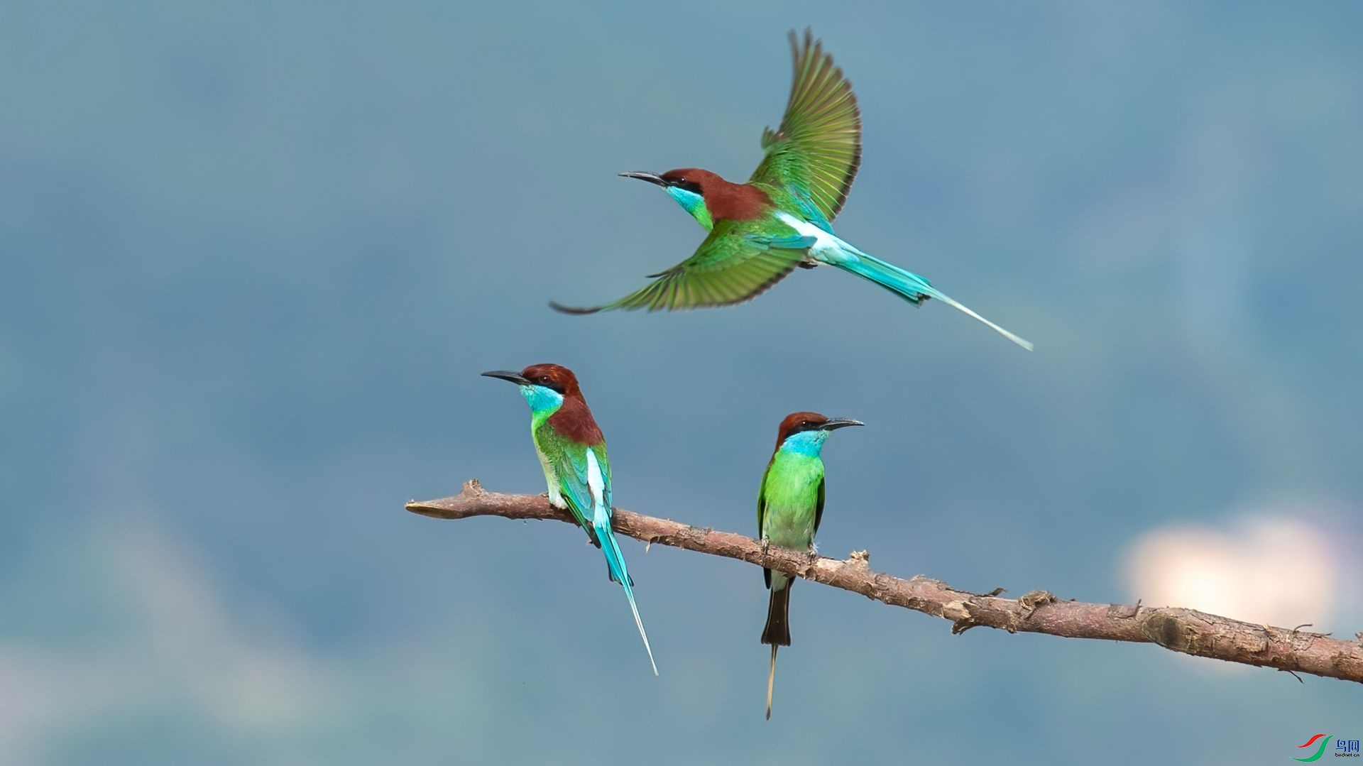 _DSC5654 ����.jpg