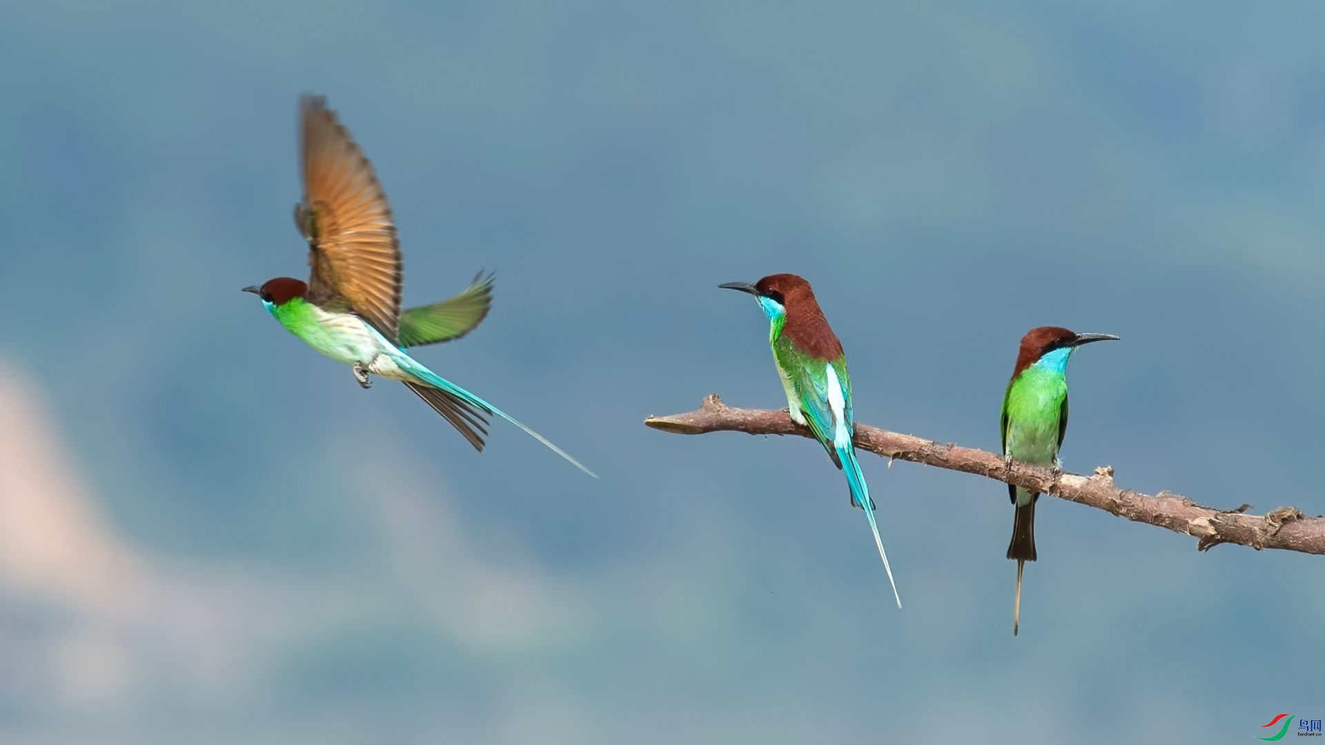 _DSC5658 ����.jpg