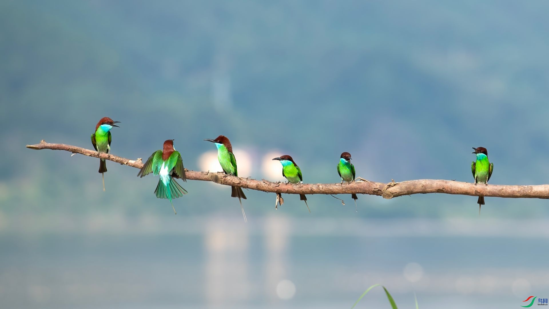 _DSC6424 ����.jpg