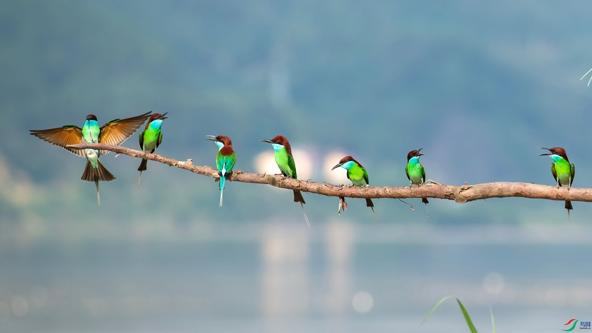 _DSC6437 ����.jpg