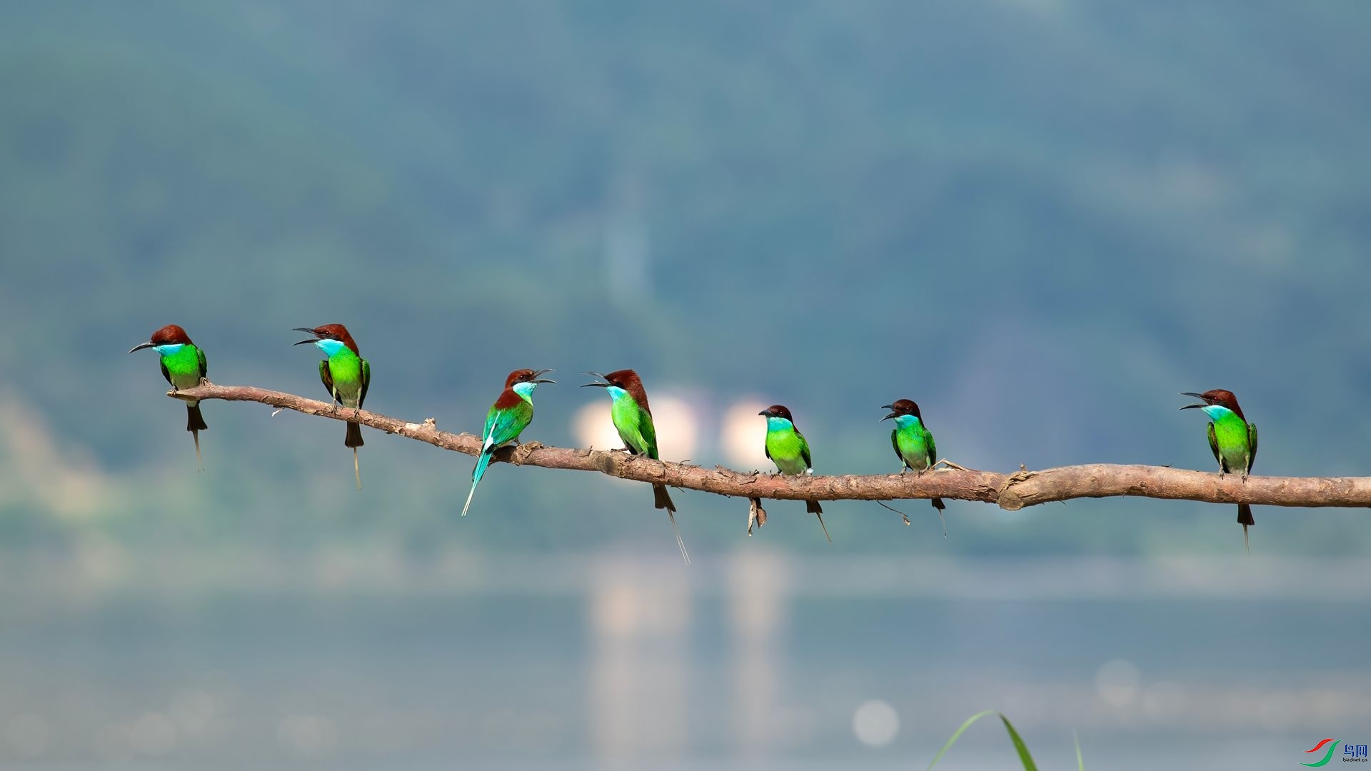 _DSC6450 ����.jpg