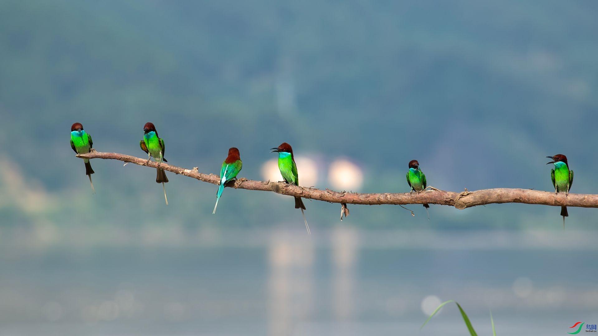 _DSC6472 ����.jpg