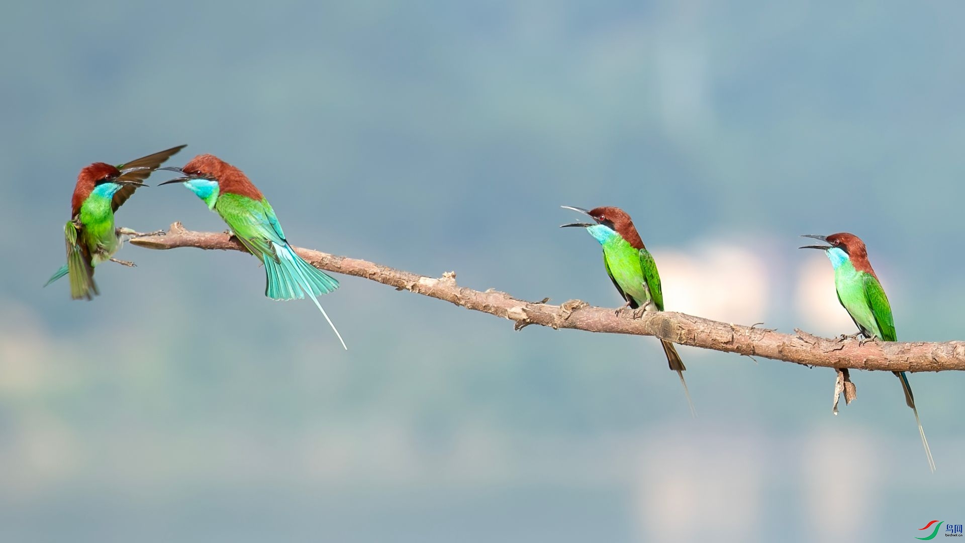 _DSC6582 ����.jpg