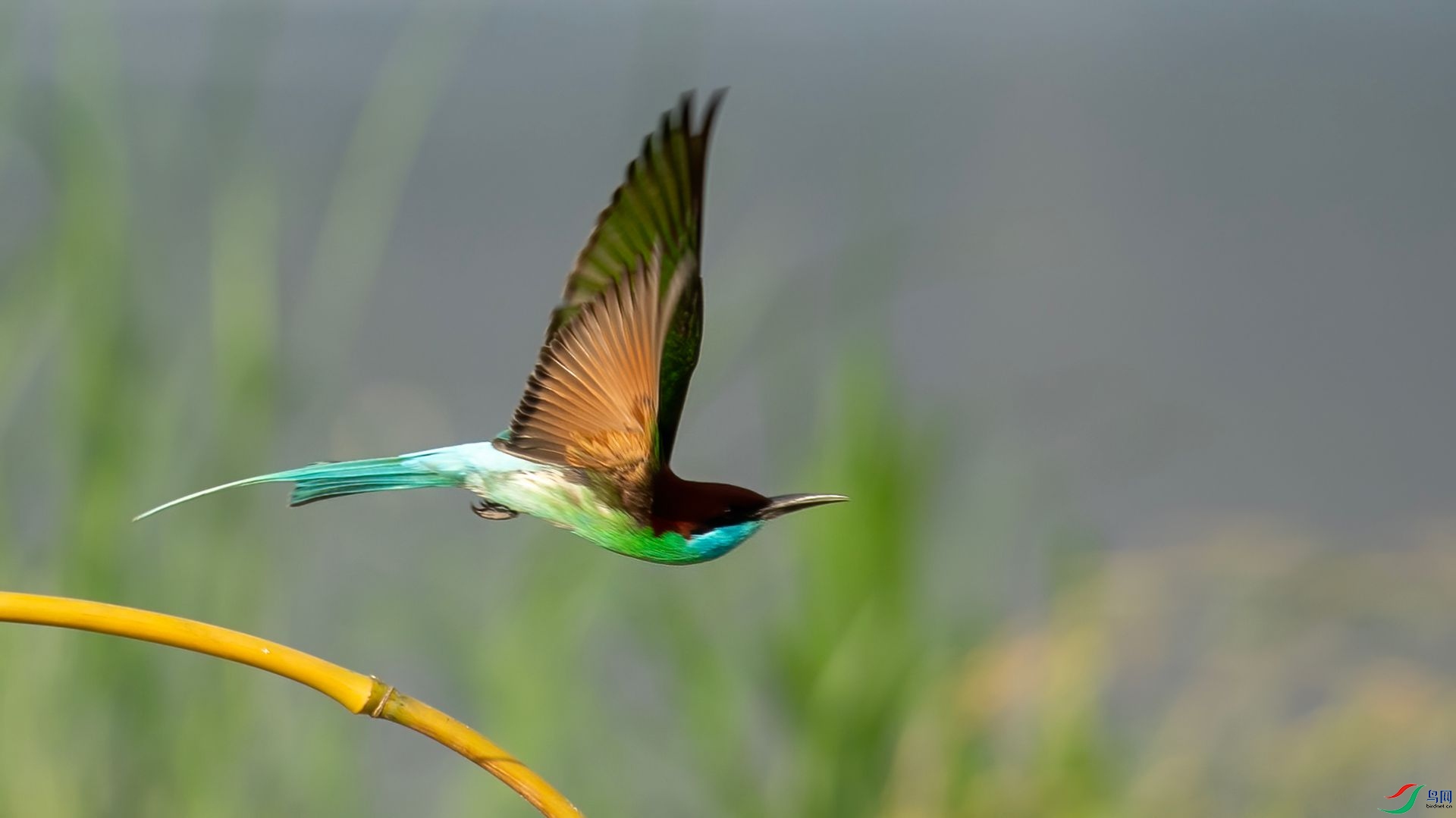 _DSC7358 ����.jpg