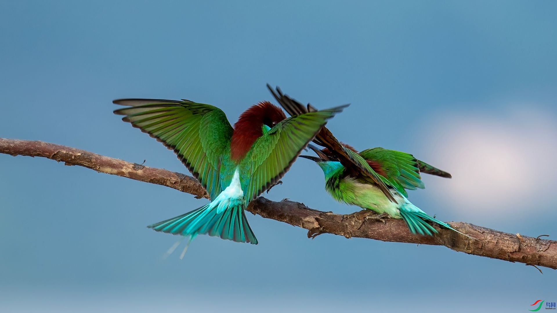 _DSC8175 ����.jpg