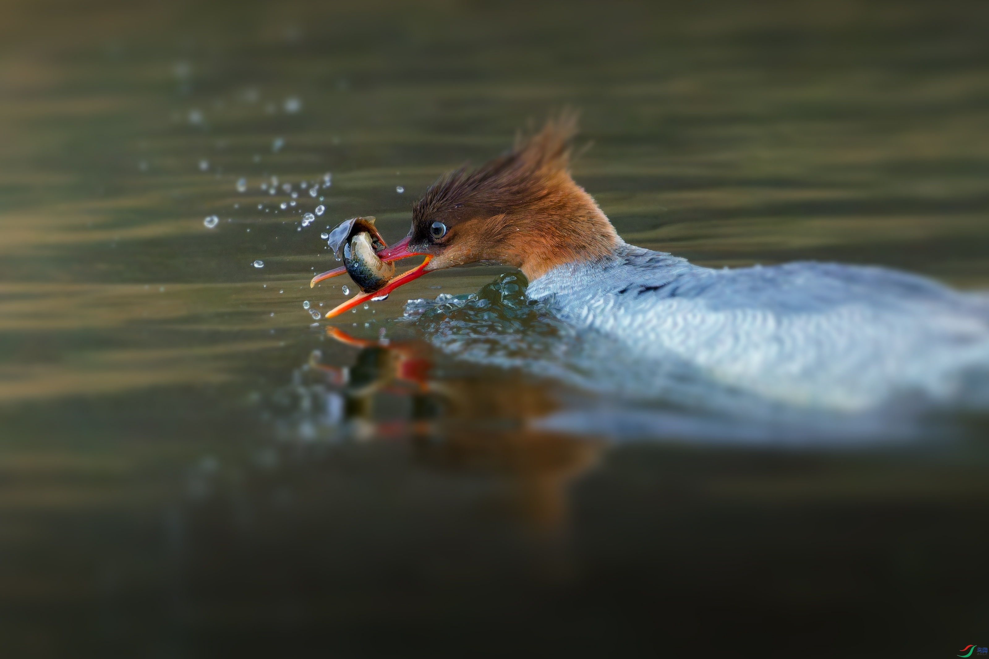 DSC02351-ARW_DxO_DeepPRIMEXD_polarr_1.jpeg