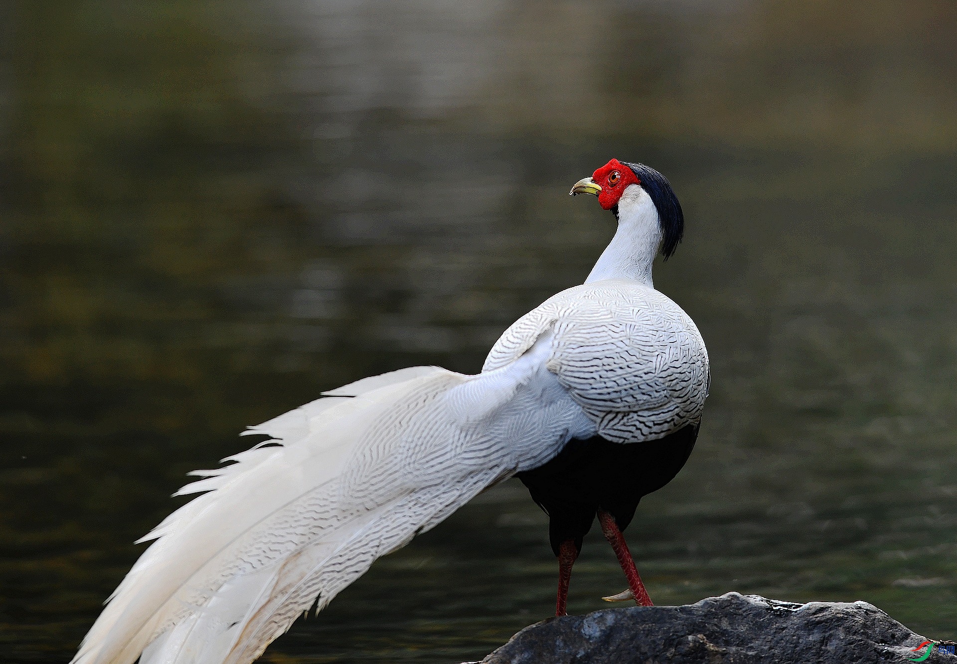 DSC_6214.jpg