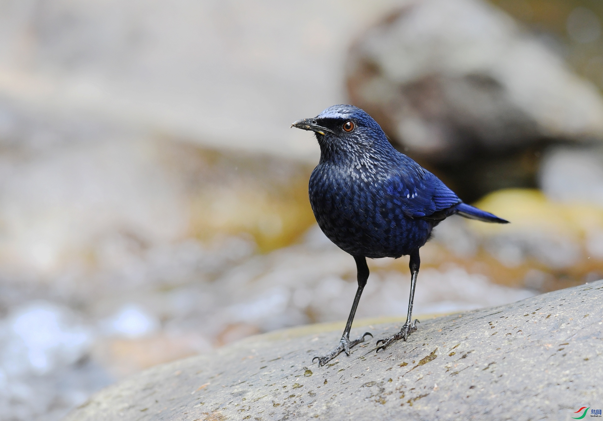 DSC_5909.jpg